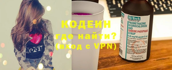мдпв Гусев