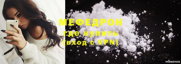 мдпв Гусев