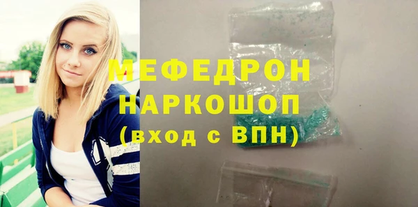 мдпв Гусев
