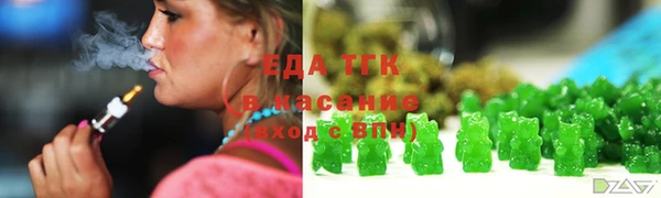 мдпв Гусев