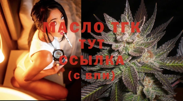 мдпв Гусев