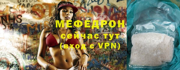 мдпв Гусев