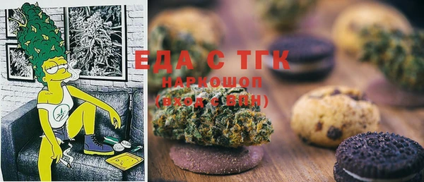 мдпв Гусев