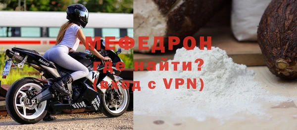 мдпв Гусев