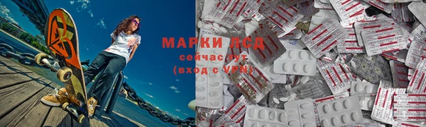 мдпв Гусев
