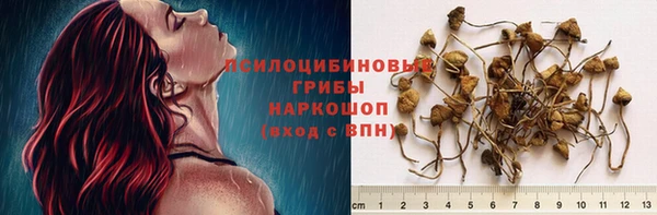 тгк Гусиноозёрск